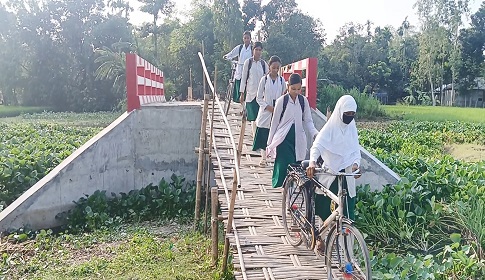 ৬ ফুট খাড়া বাঁশের চাটাই বেয়ে স্কুলে যায় শিক্ষার্থীরা, ভোগান্তিতে ১০ হাজার মানুষ