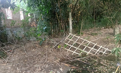 সাতক্ষীরায় সীমানা পিলার তুলে গাছগাছালি ও বেড়া ভাংচুর