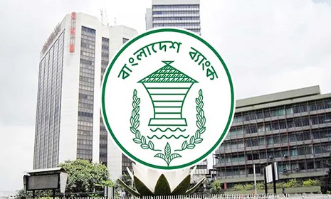 তিন দিন বন্ধ থাকার পর চালু বাংলাদেশ ব্যাংকের ওয়েবসাইট