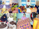 সরকারি প্রশিক্ষণে স্বাবলম্বী হচ্ছেন গ্রামীণ জনপদের নারীরা