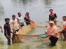 দিনাজপুরে মাছের পোনা চাষ করে স্বাবলম্বী সাদেকা বানু