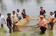 দিনাজপুরে মাছের পোনা চাষ করে স্বাবলম্বী সাদেকা বানু
