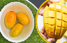 আম খাওয়ার আগে ভিজিয়ে রাখা উচিত কেন?