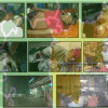 অশান্ত মৌলভীবাজার, বাড়ছে খুনোখুনির ঘটনা