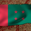 বঙ্গবন্ধুর জন্মদিনে আওয়ামী লীগের কর্মসূচি