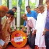 পাথরঘাটা শিংড়াবুনিয়া গণহত্যা দিবস পালন