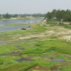 নদী রক্ষা: আইন আছে প্রয়োগ নেই