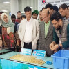 ওসমানী বিমানবন্দরে ৩৪ কেজি সোনাসহ আটক ৪