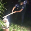 সাতক্ষীরায় বাইপাস সড়কের পাশে ব্যাগ ভর্তি ককটেল সদৃশ বস্তু উদ্ধার
