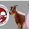 ‘ছাগলের বাচ্চা’ বলা সেই গালবাজ বাংলাদেশ সোসাইটির ট্রাস্টি বোর্ডের চেয়ারম্যান!