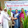 ফরিদপুরে ৩০০ কৃষকের মাঝে বিনামূল্যে নারিকেল চারা বিতরণ