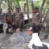 সুন্দরবনে ৩০০ ফাঁদসহ হরিণ শিকারি দলের উপপ্রধান দুলাল গ্রেফতার
