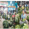 সন্ধ্যায় জমে ওঠে কোটি টাকার পানের হাট