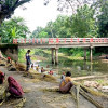সালথায় পাট কাটা ও আঁশ ছাড়ানো কাজে ব্যস্ত চাষিরা