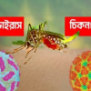 ডেঙ্গু, জিকা ও চিকুনগুনিয়া ঝুঁকি ও প্রতিকার