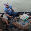 শ্যামনগরের তালবাড়িয়া গ্রাম থেকে জীবিত হরিণ উদ্ধার