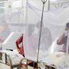 ডেঙ্গুতে ৩ জনের মৃত্যু, হাসপাতালে ৪০৮ জন