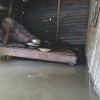 পানিবন্দি হয়ে শতাধিক পরিবারের মানবেতর জীবন-যাপন