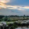 শরৎ