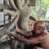 সোনাতলায় শিল্পীর শৈল্পিক কারুকার্যে গড়ে উঠছে দেবী দুর্গা