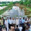 ১০ জেলায় ২শ’ অভয়াশ্রম, জলাশয়ে ফিরছে দেশীয় মাছ 