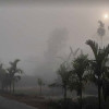 <p>রাতে বাড়বে শীত, উত্তরাঞ্চলে ঘন কুয়াশার আভাস</p>