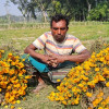 ঝিনাইদহে ফুলের দামে হতাশ চাষীরা