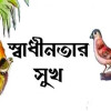 স্বাধীনতার সুখ