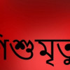 ফরিদপুরে হামের উপসর্গ নিয়ে সাত মাসের শিশু ‌রহিমার মৃত্যু