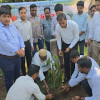 দিনাজপুরে সড়ক বিভাগের উদ্যোগে বৃক্ষরোপন 