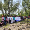 শ্যামনগরে নদীর চরের গাছ রক্ষায় আন্দোলন, বন্ধ হলো নিধন