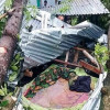 ঝড়ে ঘরের ওপর গাছের চাপা, প্রাণ গেল মা ও দুই মেয়ের
