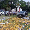 দেবহাটায় প্রায় ১ হাজার কেজি অপদ্রব্য মেশানো আম বিনষ্ট