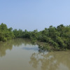 সুন্দরবনে আলিম-ডন বাহিনীর তাণ্ডব, ২০ জেলে ও মৌয়াল অপহরণ