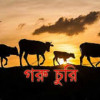 ঈশ্বরদীতে গভীর রাতে খামার থেকে ৬ লাখ টাকার গরু চুরি