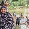 দিনাজপুরে বাণিজ্যিকভাবে জীবন্ত বড় মাছ উৎপাদনে নারী উদ্যোক্তা সুরাইয়ার সাফল্য 