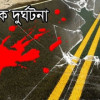 তালায় পিকআপ-মোটরসাইকেল সংঘর্ষ, নিহত ২ 