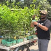 দাদি-বাবার কবরের ফুলগাছ চুরি, চোরকে না খুঁজে পুরো গ্রামকেই বানালেন ফুলের বাগান