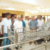 কাহারোলে ১৪টি মসজিদে খাটিয়া বিতরণ
