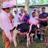 ঠাকুরগাঁওয়ে প্রান্তিক খামারিদের উন্নত জাতের বাছুর প্রদর্শনী প্রতিযোগিতা ও পুরষ্কার বিতরণী