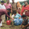 নড়াইলে বৃক্ষরোপন কর্মসূচির উদ্বোধন