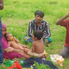 শূন্যরেখায় ৯৬ ঘণ্টা ধরে  ৯ বাংলাভাষীর মানবেতর জীবন