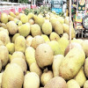 কাপাসিয়ায় ‘কাঁঠাল’র বাম্পার ফলন, দাম নিয়ে হতাশ কৃষকরা