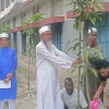 মহম্মদপুরে চাকুলিয়া এস.এম. দাখিল মাদ্রাসায় বৃক্ষরোপণ কর্মসূচি 