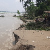 বন্যার পানি কমতেই কুড়িগ্রামে ভাঙনের থাবা, বিলীন বসতভিটা-ফসলি জমি