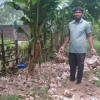 টানা বর্ষণে প্লাবিত বাঙ্গালহালিয়া: দেড় হাজার মুরগি পানিতে তলিয়ে খামারির আহাজারি