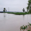 বিপৎসীমার নিচে তিস্তার পানি, কমছে বন্যার পানি