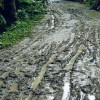 বর্ষায় কাদার সাগরে বনগ্রামের রাস্তা, ইটের সড়কের দাবিতে শতাধিক পরিবারের আকুতি