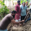 টুঙ্গিপাড়ায় জলাবদ্ধতা থেকে রক্ষা পেল পানি বন্দি ৩শ পরিবার