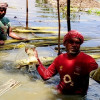 সালথায় ২৬ হাজার মেট্রিক টন পাট উৎপাদণের লক্ষ্যমাত্রা
